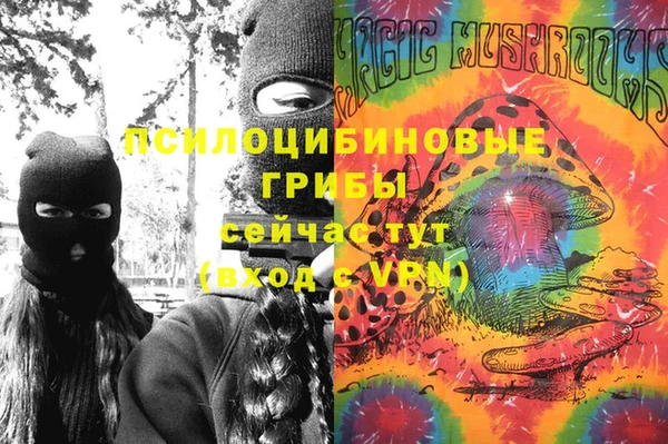 трава Бронницы