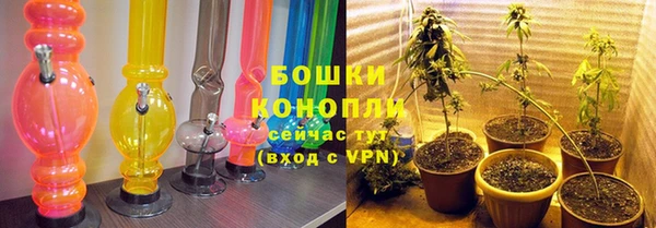 трава Бронницы