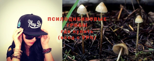 трава Бронницы