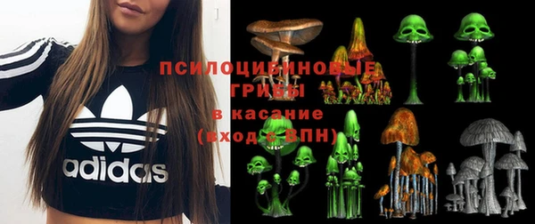 MDMA Premium VHQ Бородино